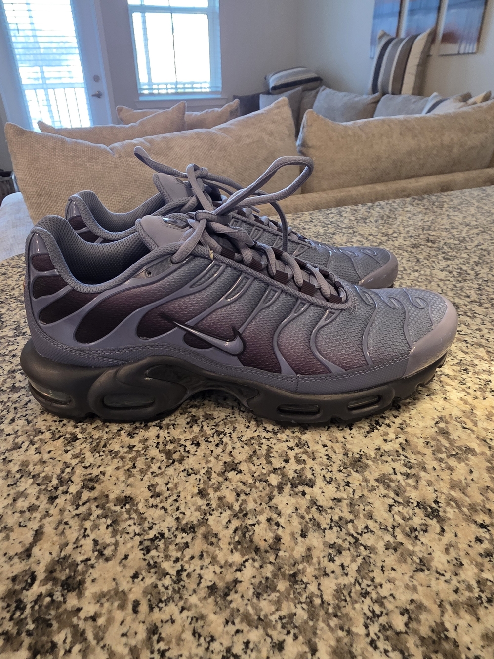 Nike Air Max Plus TN Indigo Blue Slate DM0032-404 Mens Size 9